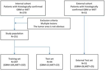 Classification of high-grade glioblastoma and single brain metastases using a new SCAT-inception model trained with MRI images